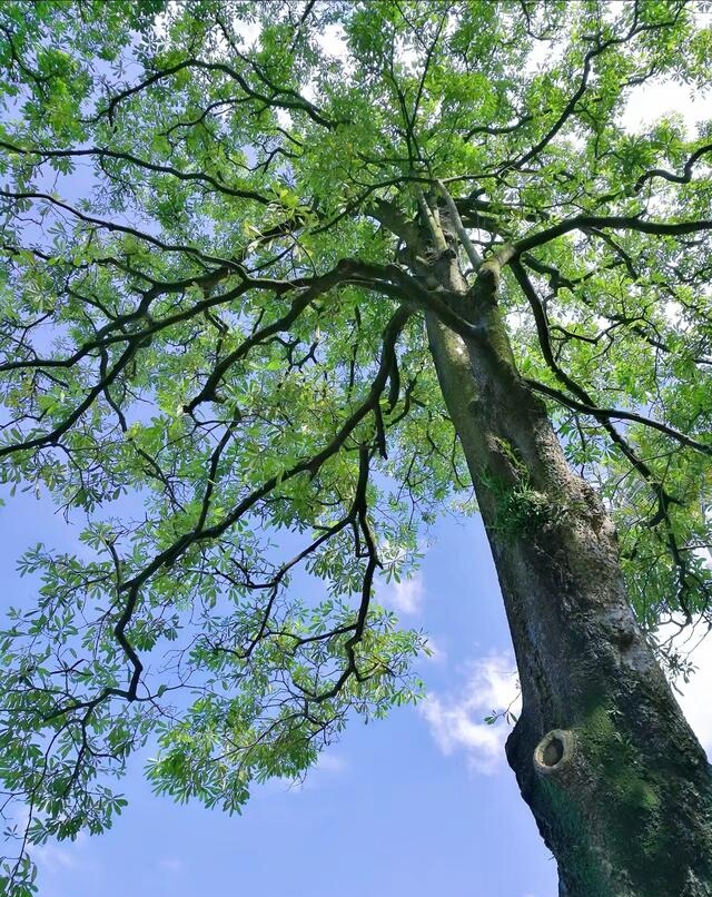 初入社会就想着如何赚钱,30分钟讲解无本钱创业30种方法