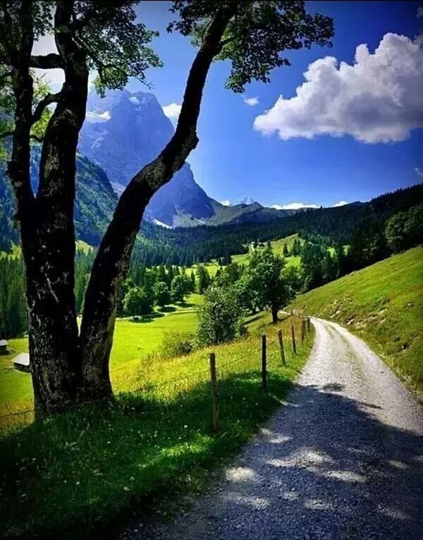 初入社会就想着如何赚钱,30分钟讲解无本钱创业30种方法