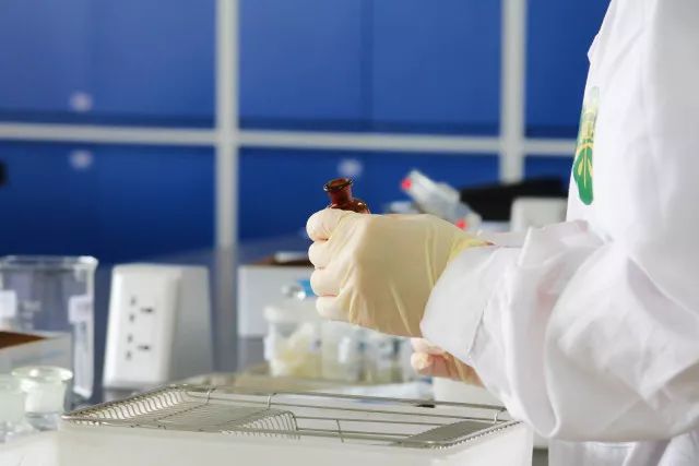 嘿我喜欢你,嘿我喜欢你照片