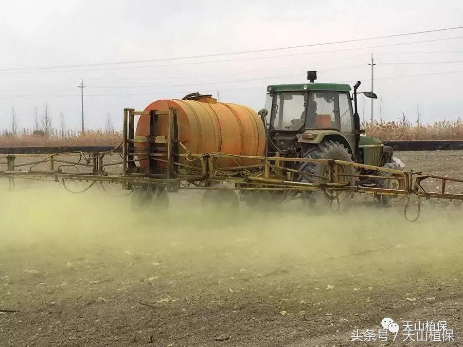 棉花苗期药害怎么解决,棉花播前最佳除草剂