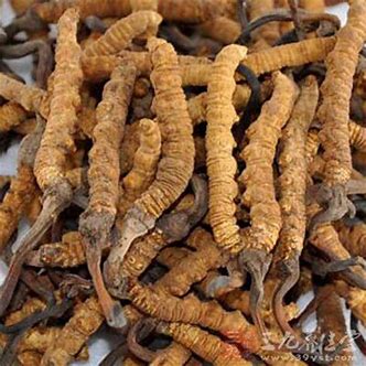 肾虚并肾亏的症状,肾虚肾亏什么区别