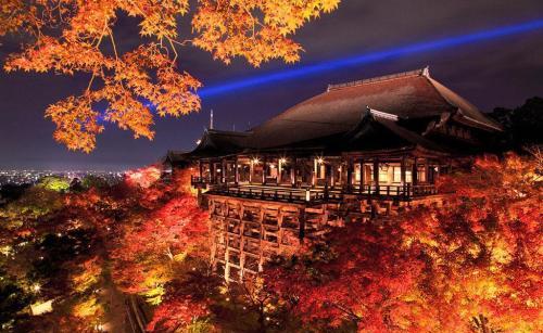 日本百年抹茶,广州日式抹茶