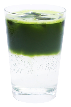 日本百年抹茶,广州日式抹茶