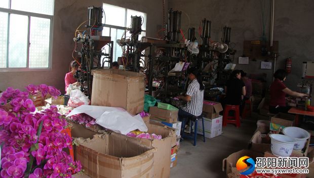 轮椅上的花季,轮椅少女的花季