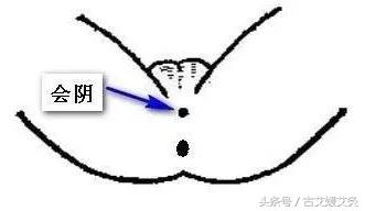 臀部堵了会引起什么,臀部瘀堵调理的视频