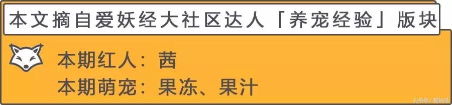 爱妖经大社区｜果汁果冻吃饭饭啦！