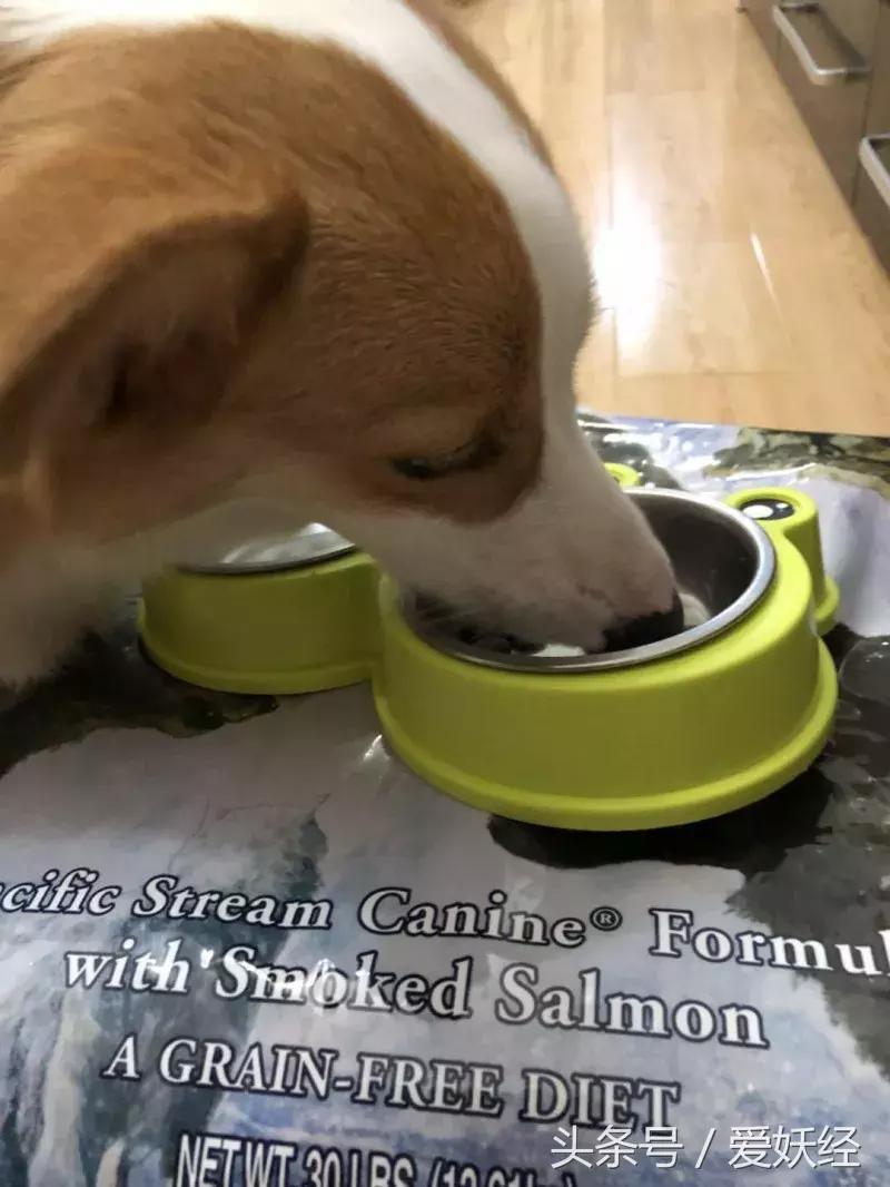 爱妖经大社区｜果汁果冻吃饭饭啦！