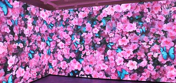 徐汇区吃喝玩乐,上海徐汇逛吃