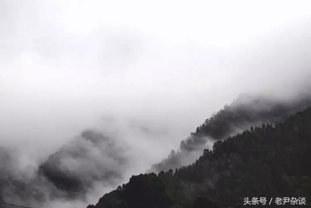 老女司机上路,新手司机提车