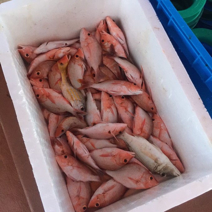 马代有毒,去过就停不下来~马尔代夫奥臻岛ozen