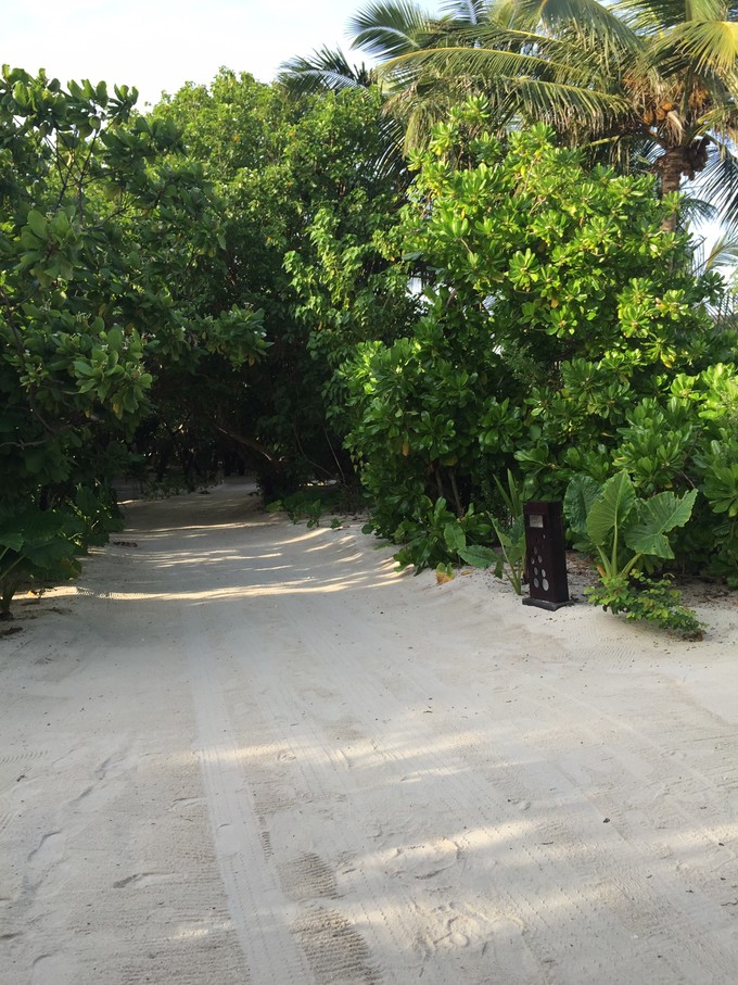 马代有毒,去过就停不下来~马尔代夫奥臻岛ozen