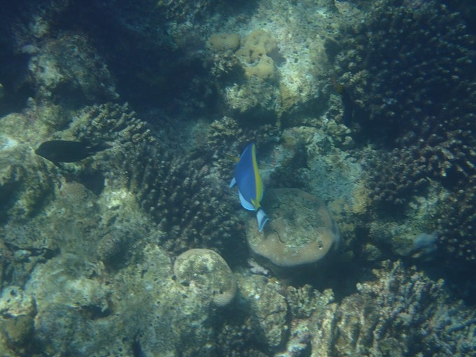 马代有毒,去过就停不下来~马尔代夫奥臻岛ozen