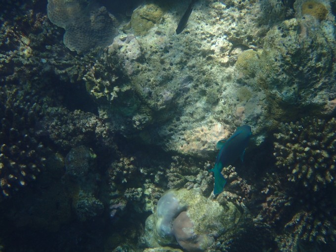 马代有毒,去过就停不下来~马尔代夫奥臻岛ozen