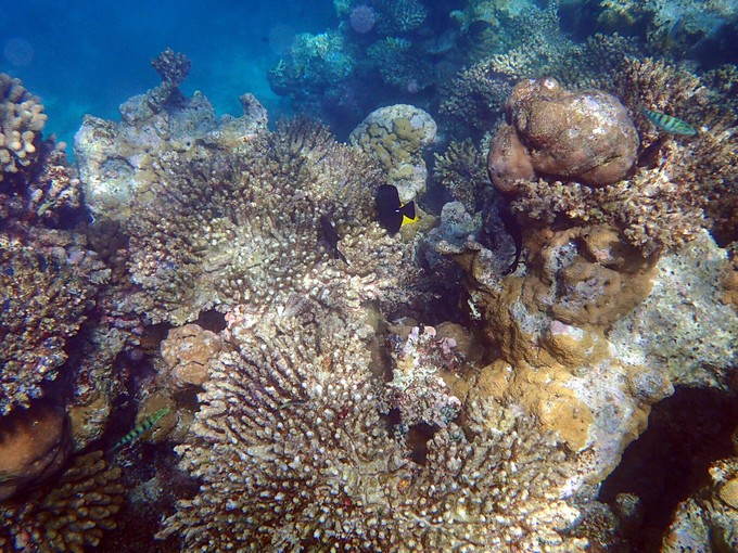 马代有毒,去过就停不下来~马尔代夫奥臻岛ozen