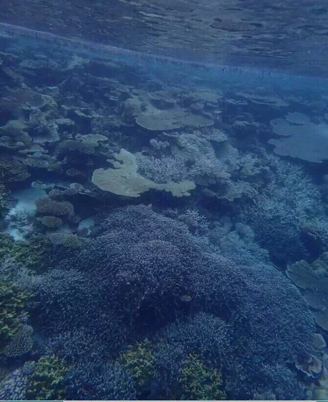 马代有毒,去过就停不下来~马尔代夫奥臻岛ozen