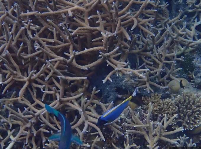 马代有毒,去过就停不下来~马尔代夫奥臻岛ozen