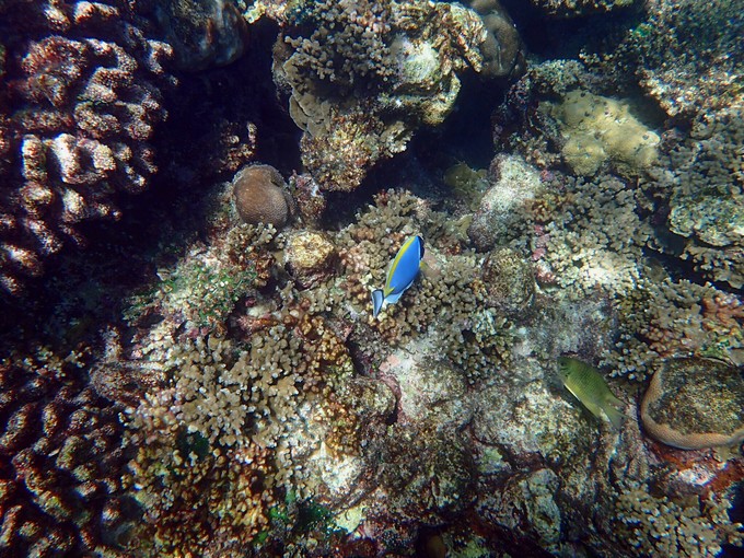 马代有毒,去过就停不下来~马尔代夫奥臻岛ozen