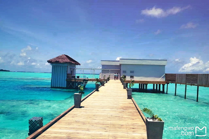 马代有毒,去过就停不下来~马尔代夫奥臻岛ozen