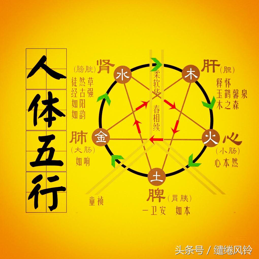 五行中的金木水火土相生相克,五行阴阳相生相克
