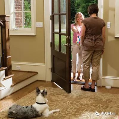 狗狗见了路人吠叫怎样训,狗狗应激吠叫的原因有哪些