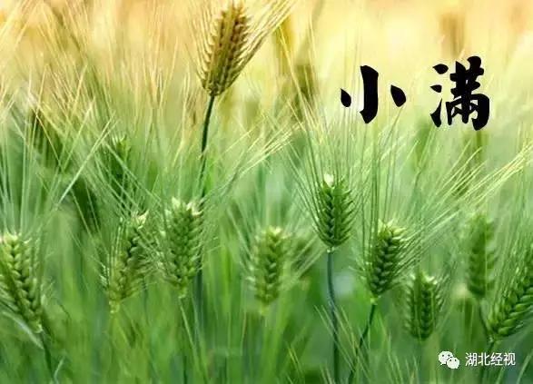 这次武汉下雨要持续多久,武汉一周的雨