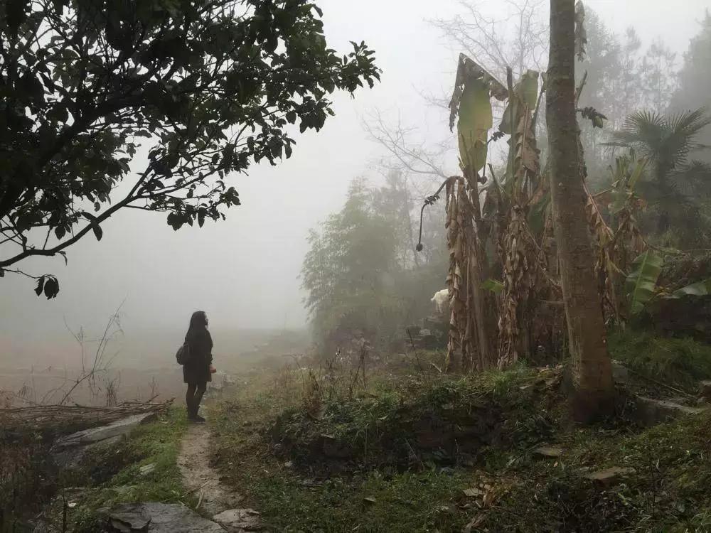 不完美受害人小女孩怎么样了,不完美受害人女孩后续