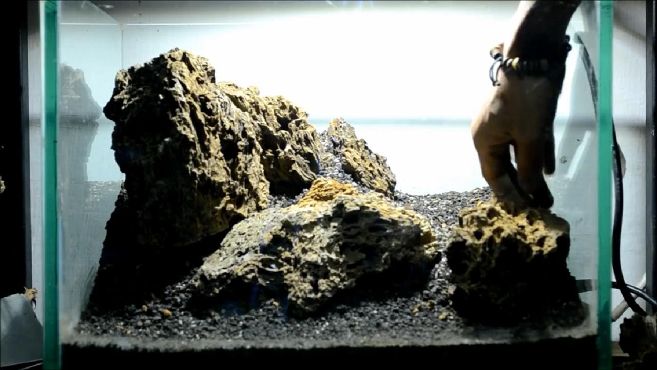 红草景观草缸造景,草缸造景怎么做成树的样子