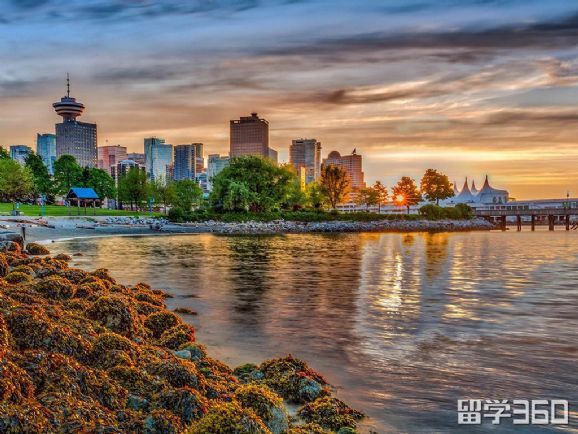 加拿大本科医学,加拿大医学专业大学排名榜