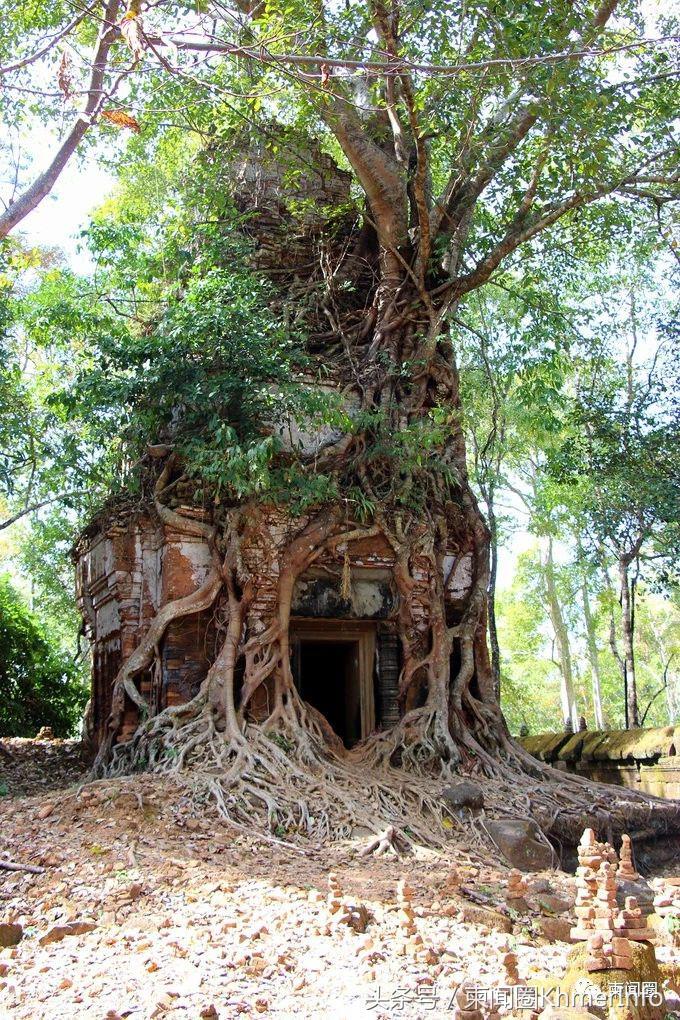 金字塔只有在埃及吗,金字塔其实在埃及城市里面