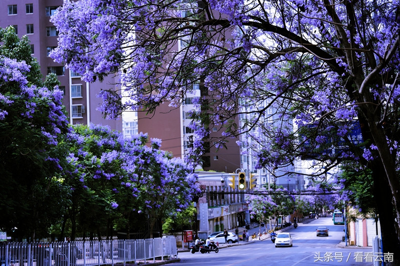 昆明,你到底得罪了谁?