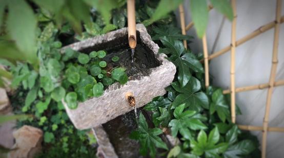 扬州半闲楼古风美宿特色民宿,藏于山水间清净雅致的民宿