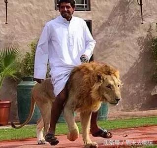 去了夏威夷才知道女人不用穿bra,去了斐济才知道，男人不爱穿裤子