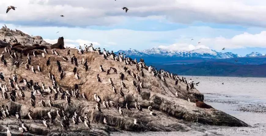 去了夏威夷才知道女人不用穿bra,去了斐济才知道，男人不爱穿裤子