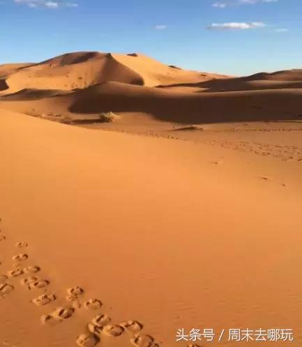 去了夏威夷才知道女人不用穿bra,去了斐济才知道，男人不爱穿裤子