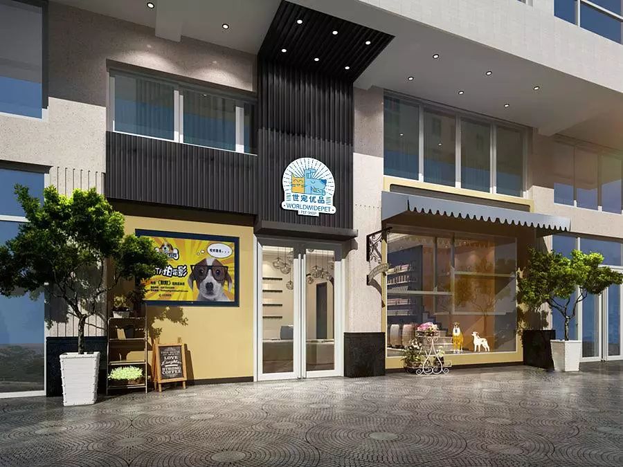 开宠物店怎么装修,年赚百万的宠物店