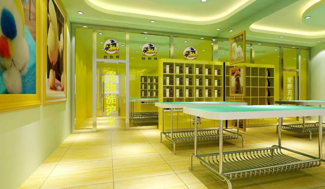 开宠物店怎么装修,年赚百万的宠物店