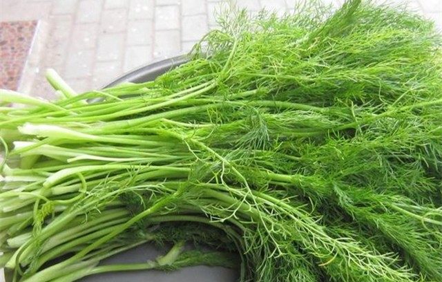 妇科病宫颈癌都什么不能吃,妇科炎症避免吃什么