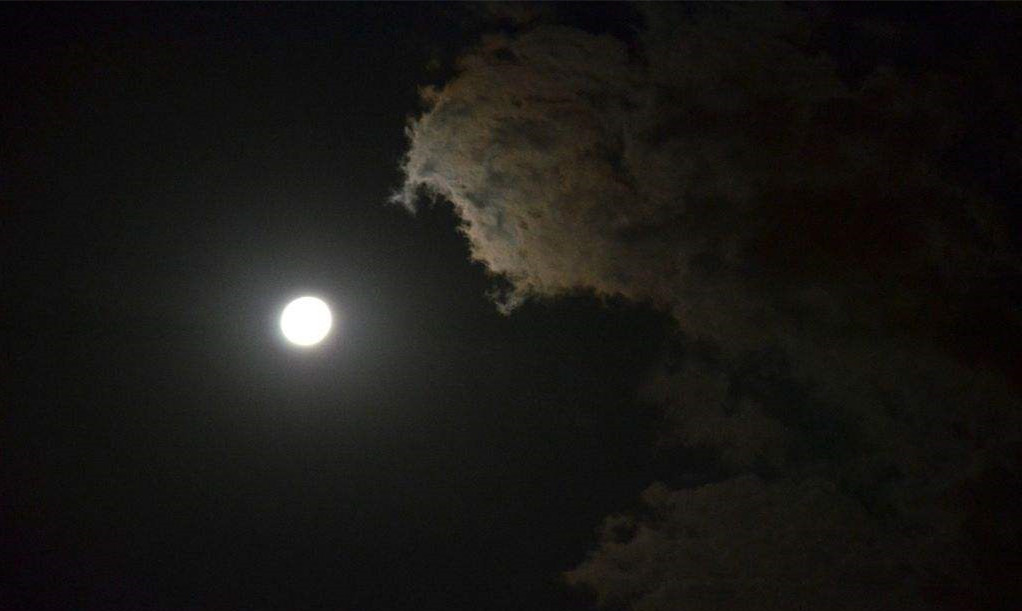 清冷的月光照在他的身上,银白色的月光照在人身上像什么