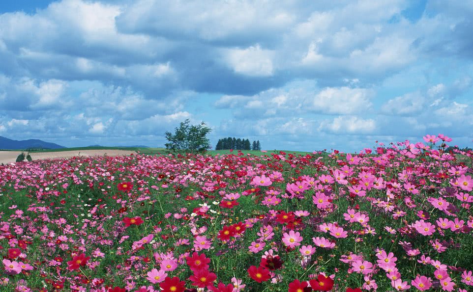 辽源最美的景点是哪里,吉林省辽源有什么特点