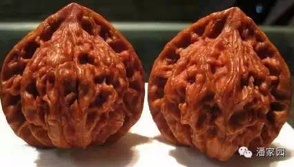 看图识别发型名称,看图识别安全帽