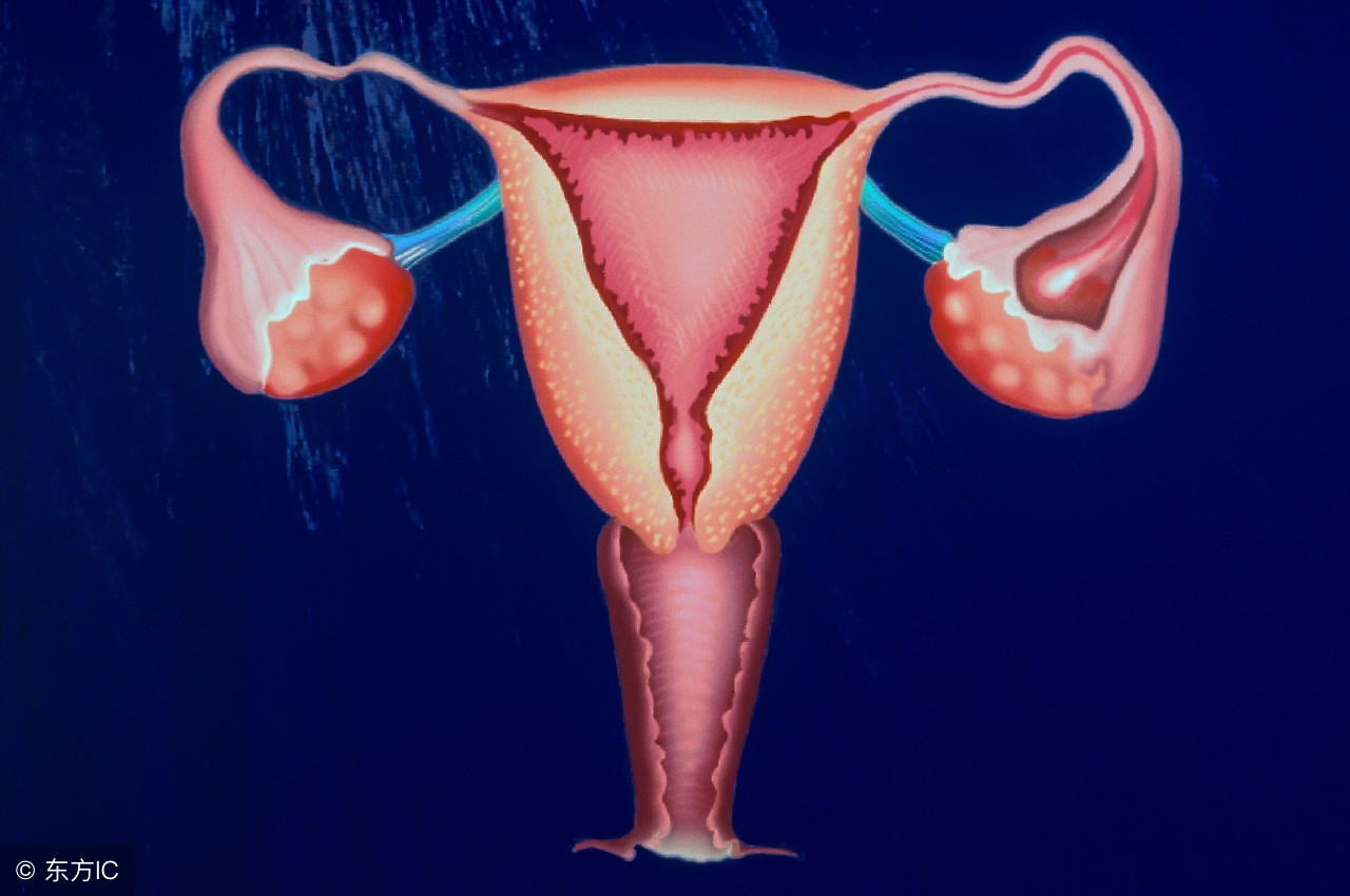 熬夜变胖是什么原因,40岁女人变胖的原因