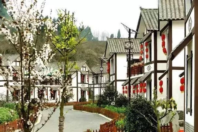 确认过眼神我遇见对的人的表情,确认过眼神我遇上对的人什么梗