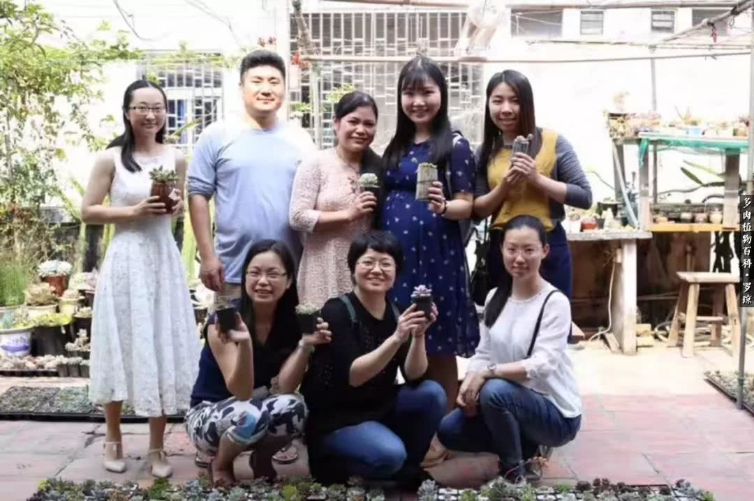 我的爱多肉原版视频,多肉我的一生所爱原版