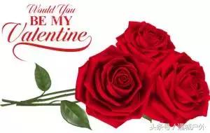 湖北2020十大美丽乡村,通城龙门村美丽乡村建设项目