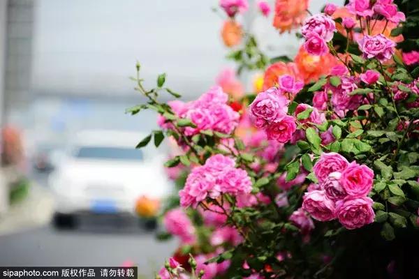 再上六天班是国庆假期吗,再上六天班就要集体放假