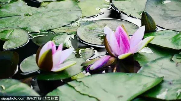 再上六天班是国庆假期吗,再上六天班就要集体放假