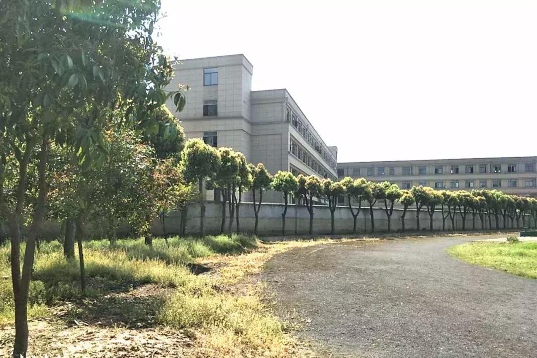 回忆杀的儿时零食,回忆杀吃货