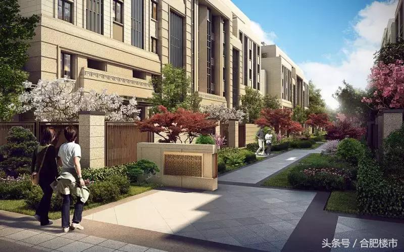 合肥进入“金茂时代”！颠覆市场想象！这19张图片，泄露了所有