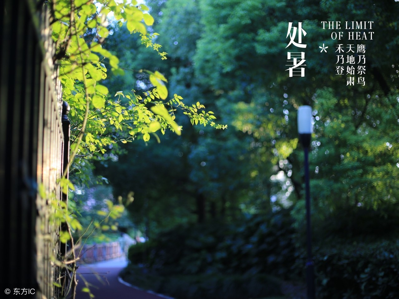 中国的二十四节气用英语怎么说,二十四节气英语作文