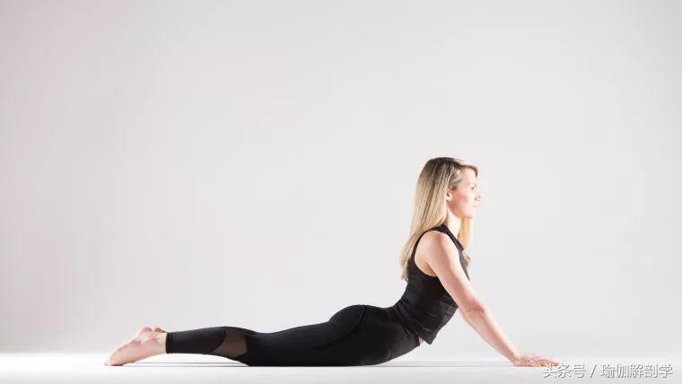 全套入门瑜伽25式初学者必备,入门级瑜伽18式
